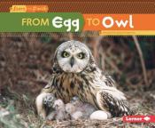 From Egg to Owl cover art