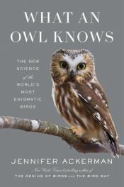 What an Owl Knows cover art