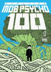 MP100_13