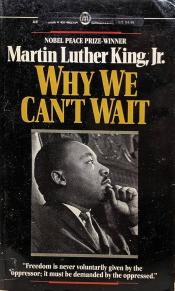 Why We Can't Wait