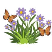 pollinators