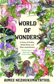 World of Wonders cover art
