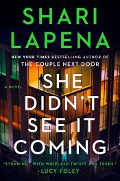 She Didn't See It Coming cover, looking through high-rise building windows at night from the outside