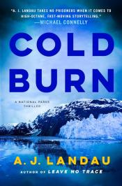 Cold Burn by A. J. Landau 