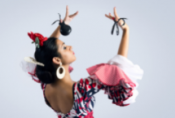 A Flamenco Dancer