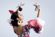 A Spanish Flamenco Dancer A Flamenco Dancer