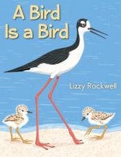 book cover of A Bird Is A Bird by Lizzy Rockwell