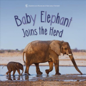 Baby Elephant Joins the Herd Baby Elephant Joins the Herd