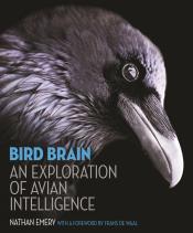 Cover of Bird brain: an exploration of avian intelligence by Nathan Emery