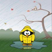 bird in yellow raincoat in rainstorm