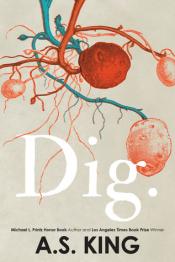 Dig - A.S. King Dig cover art