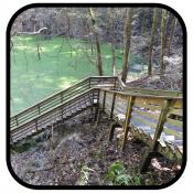 Florida Fish and Wildlife Devil's Millhopper Geological State Park Flickr image Florida Fish and Wildlife Devil's Millhopper Geological State Park Flickr image