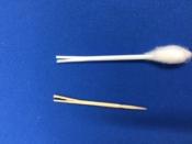 a picture of a Q-tip and a toothpick with split ends