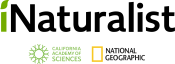 iNaturalist project logo