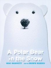 polar bear image book cover