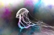 The Amazing Jellyfish white, blue and pink jellyfish floating