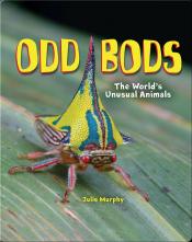 odd bods - book cover image