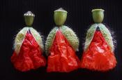 The Three Dolls three dolls made of poppy flowers