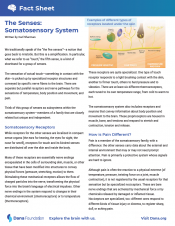 somatosensory system pdf
