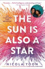 Sun Is Also A Star book cover
