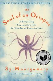 the soul of an octopus book cover image
