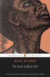 The Souls of Black Folk cover art