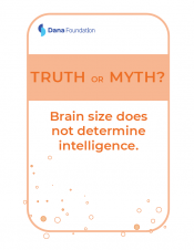 truth or myth flashcards - card 1